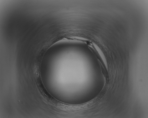 X0000076040031200610061456
