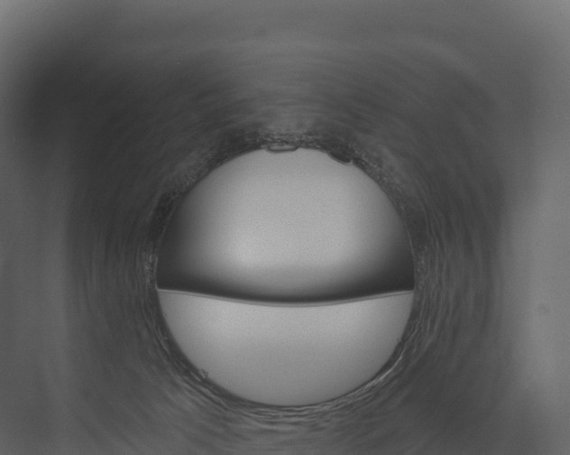 X0000076040033200610061455