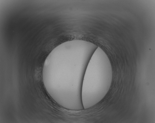 X0000076040034200610061455