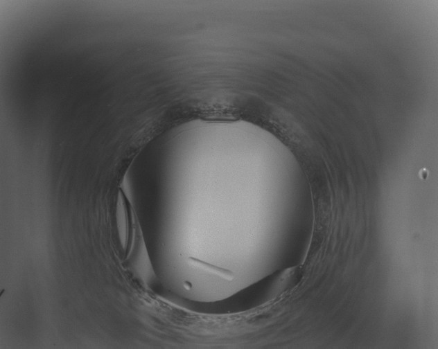 X0000076040037200610061455