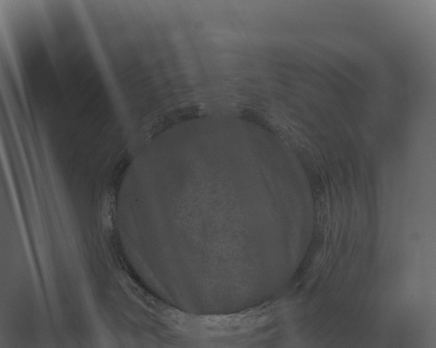 X0000076040038200610061455