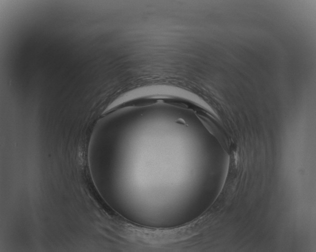 X0000076040039200610061455