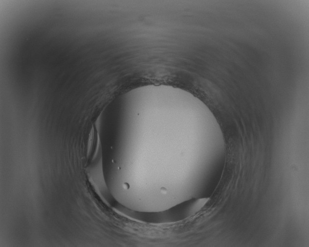 X0000076040040200610061455