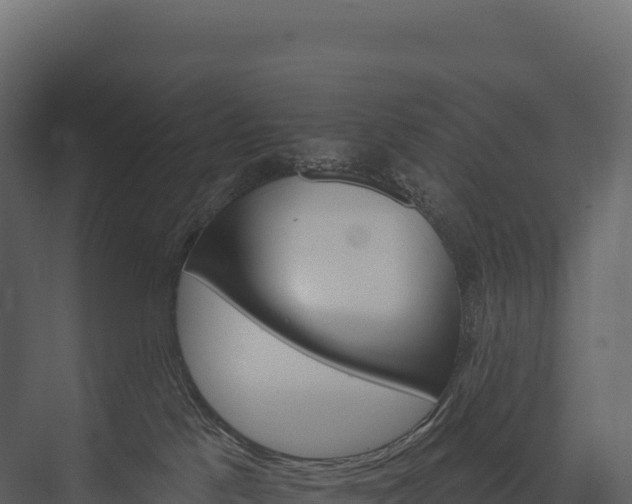 X0000076040041200610061455