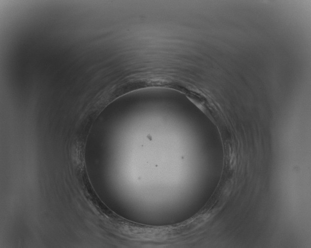X0000076040044200610061455