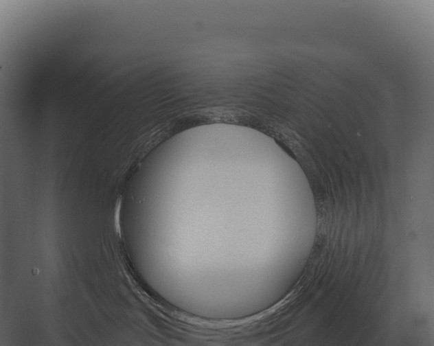 X0000076040047200610061455