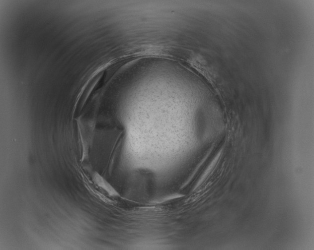 X0000076040050200610061454