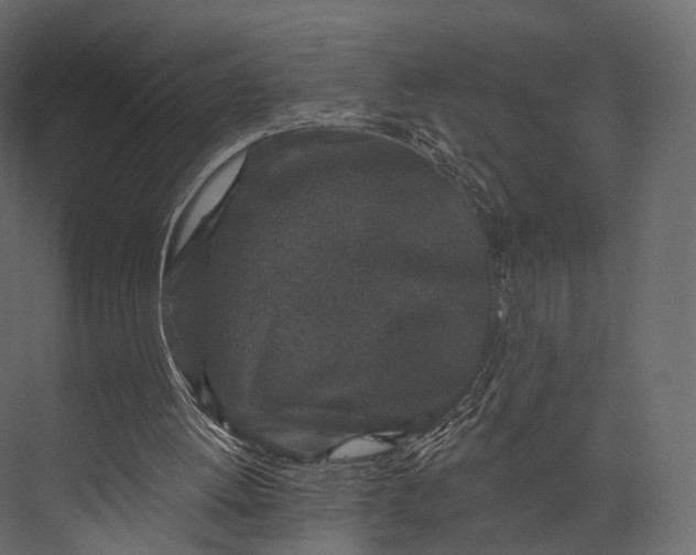 X0000076040052200610061454