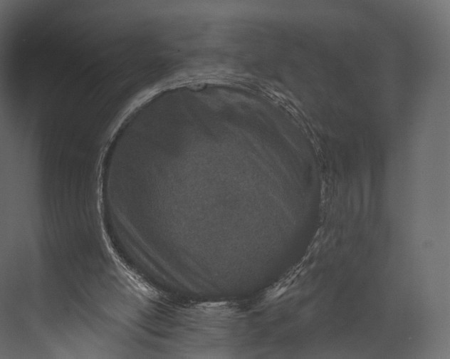 X0000076040054200610061454