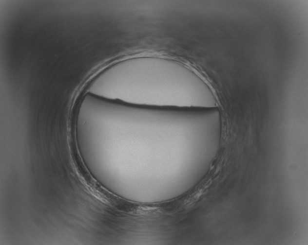 X0000076040055200610061455