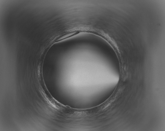 X0000076040057200610061455