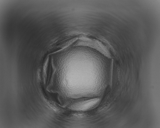X0000076040071200610061455