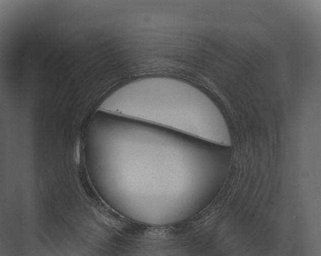 X0000076040076200610061455