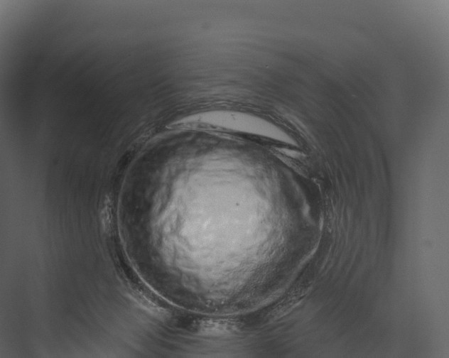 X0000076040077200610061455