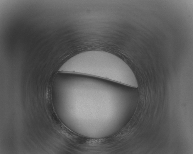 X0000076040084200610061455
