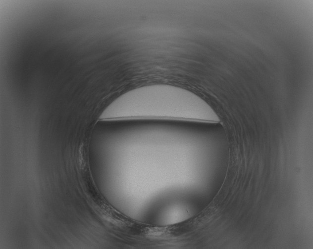 X0000076040088200610061455