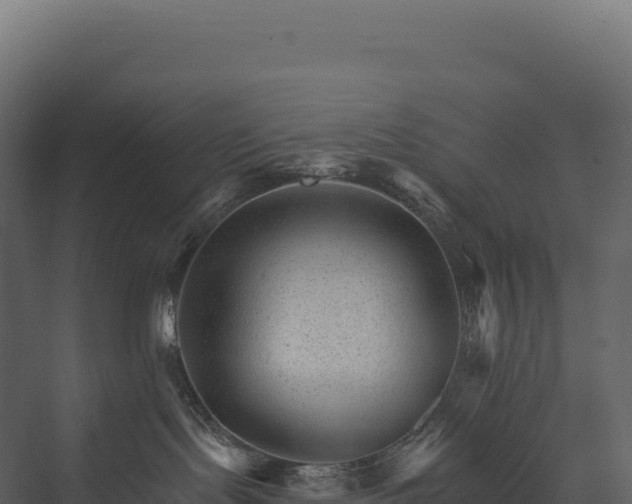 X0000076040095200610061455