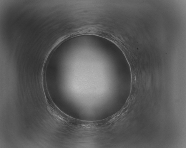 X0000076040100200610061454