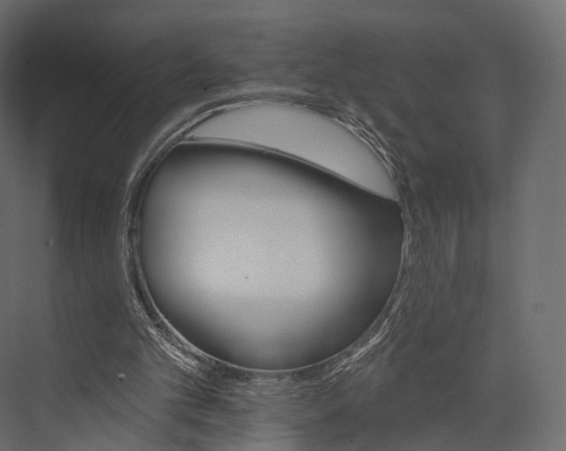X0000076040101200610061454