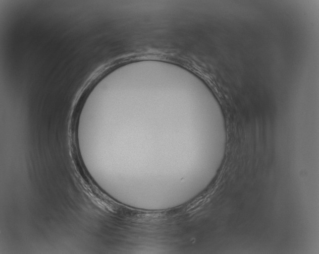 X0000076040102200610061454