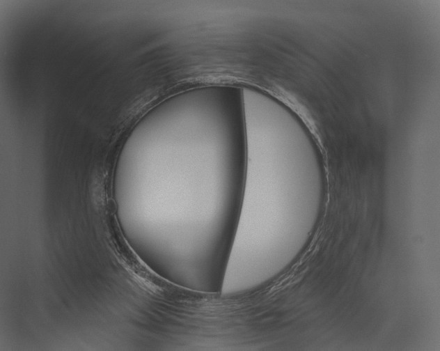 X0000076040105200610061454
