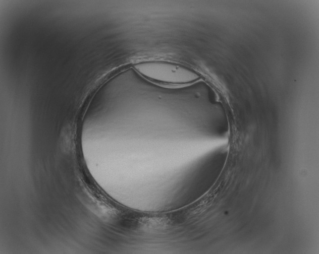 X0000076040107200610061454