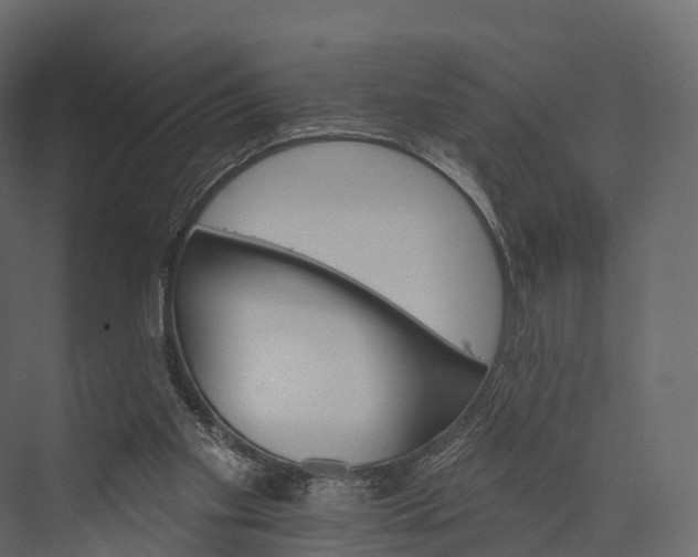 X0000076040109200610061454