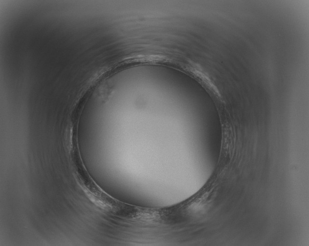 X0000076040110200610061454