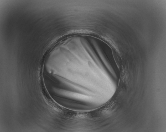 X0000076040111200610061454