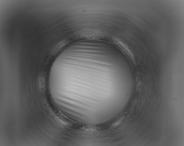 X0000076040113200610061454