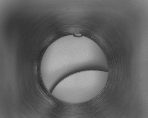 X0000076040120200610061454