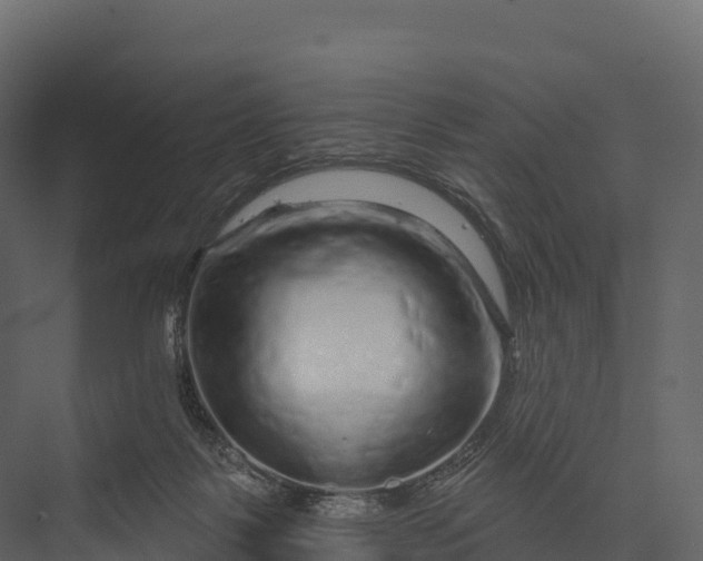 X0000076040123200610061454