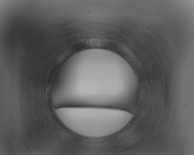 X0000076040125200610061454