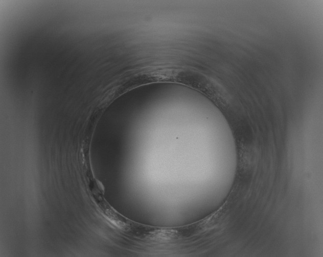 X0000076040128200610061454