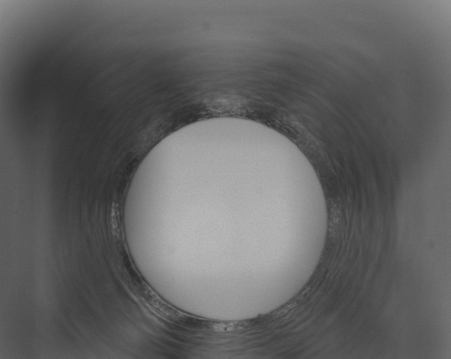 X0000076040130200610061454