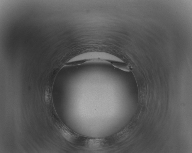 X0000076040134200610061454
