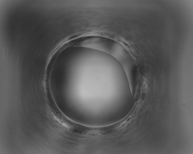 X0000076040152200610061453