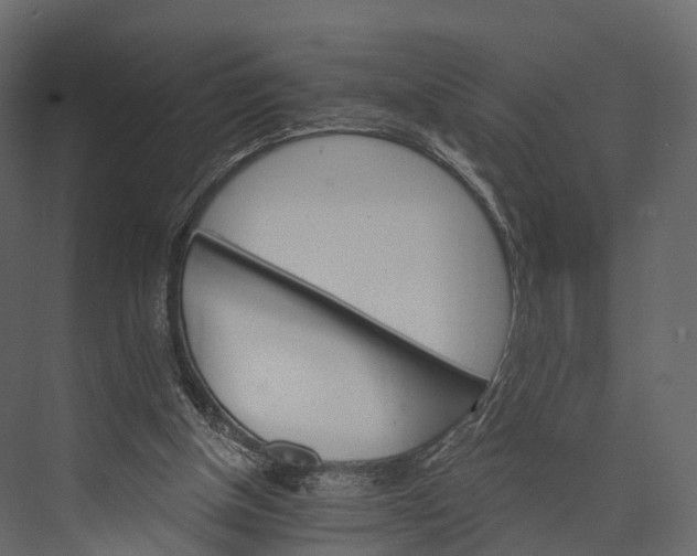 X0000076040154200610061453