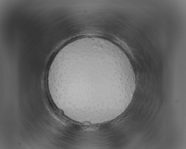 X0000076040155200610061453