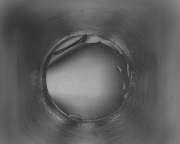 X0000076040156200610061453