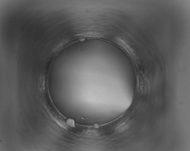 X0000076040157200610061453