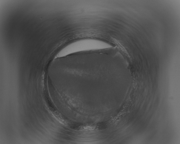 X0000076040163200610061453