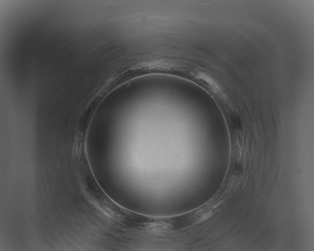 X0000076040168200610061453