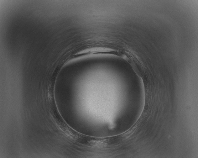 X0000076040170200610061453