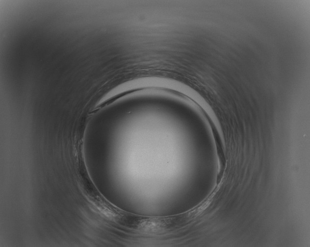 X0000076040174200610061453