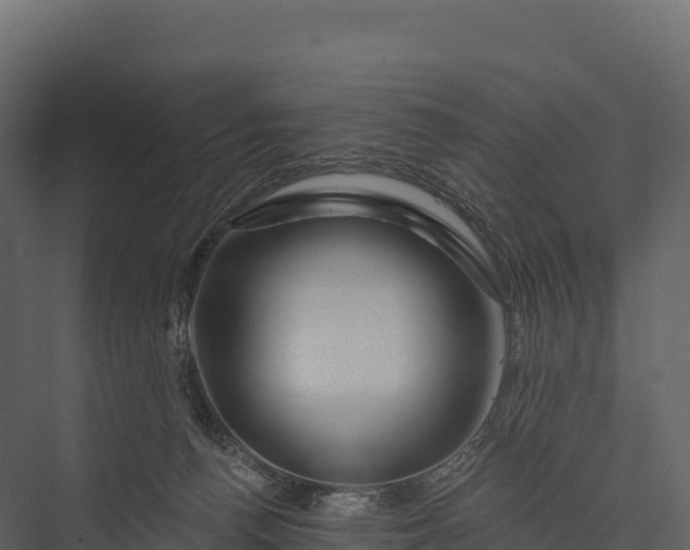 X0000076040176200610061453