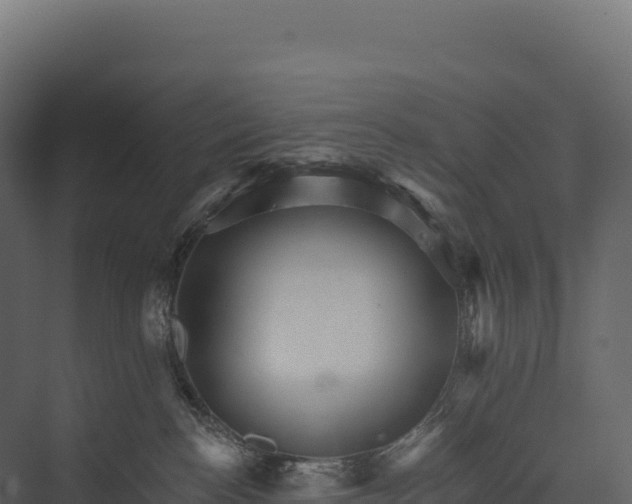 X0000076040188200610061454