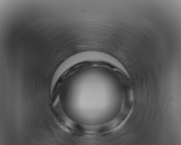 X0000076040190200610061454