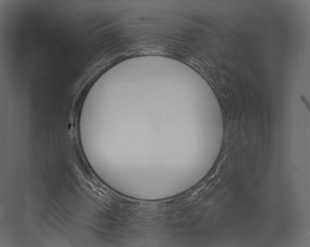 X0000076040194200610061453