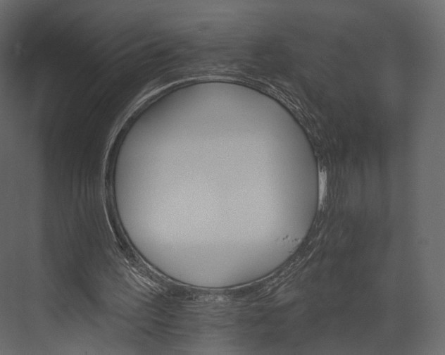 X0000076040195200610061453